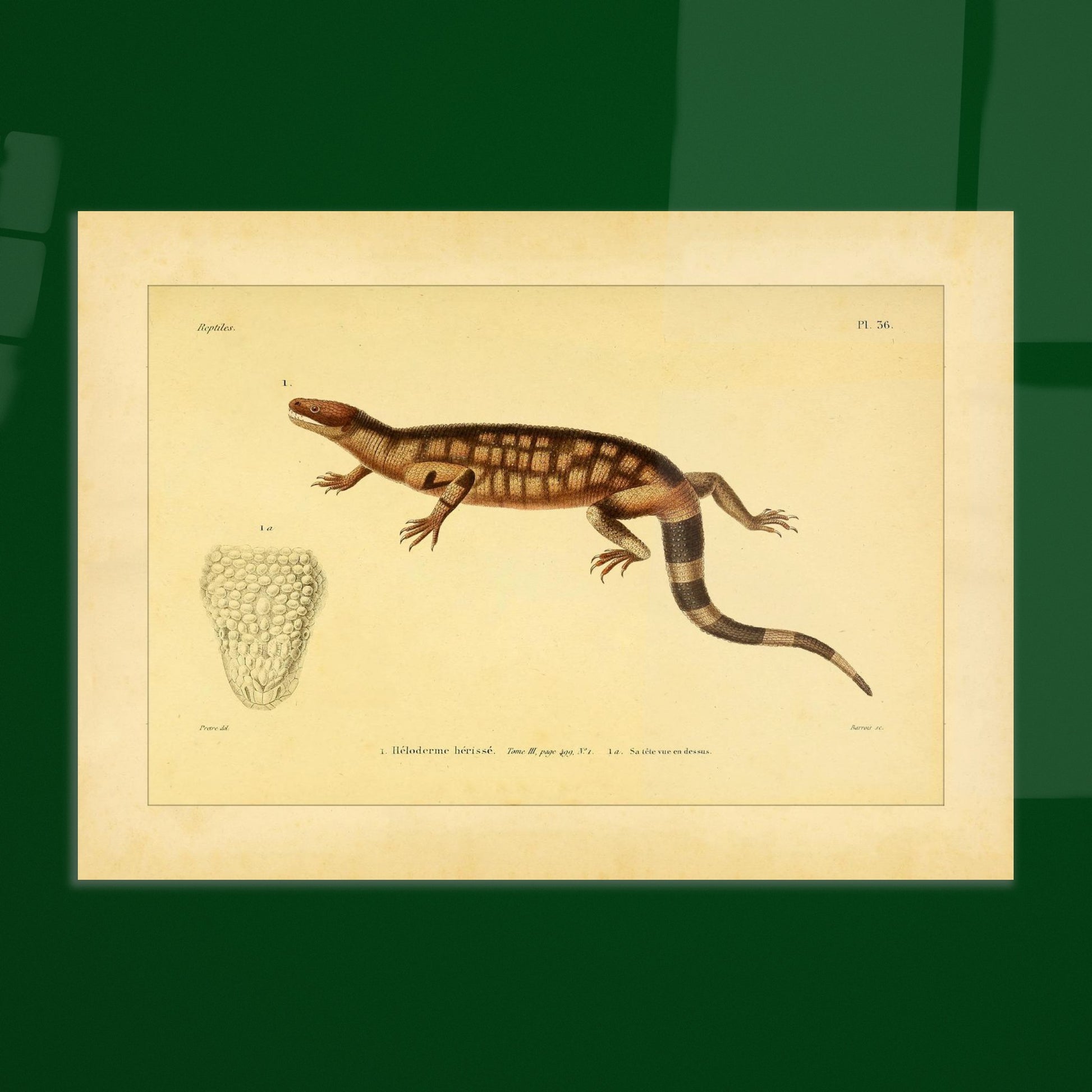 3f079cf0-9c7e-4a29-becd-05795895ef9e