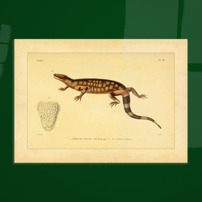 3f079cf0-9c7e-4a29-becd-05795895ef9e