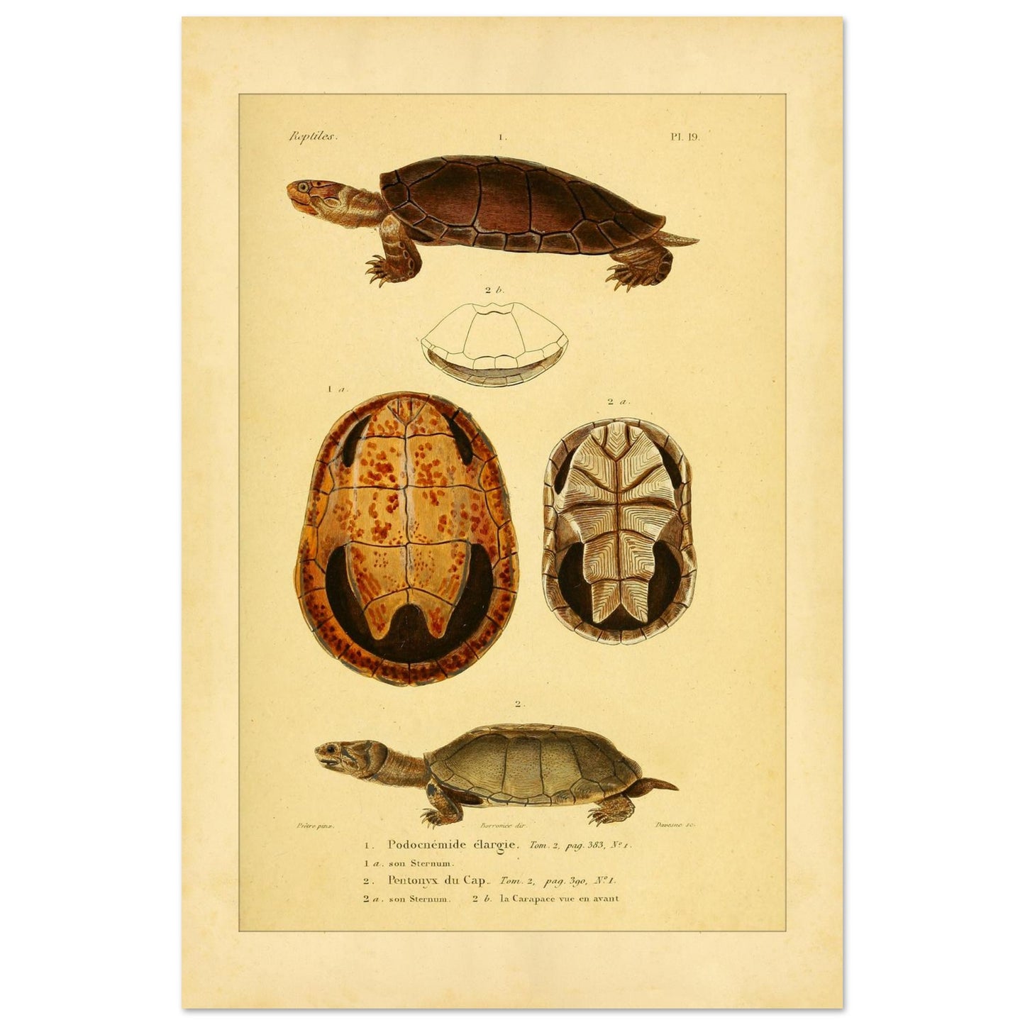 3f8b1fdc-6e77-4512-a445-a9f9e1a3d5a0