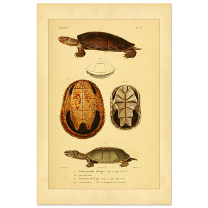 3f8b1fdc-6e77-4512-a445-a9f9e1a3d5a0