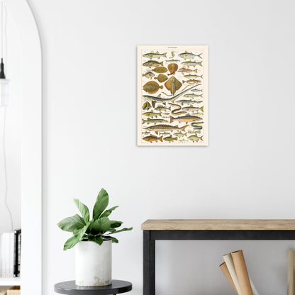 407a4f91-97e7-415a-87eb-c220688732cd