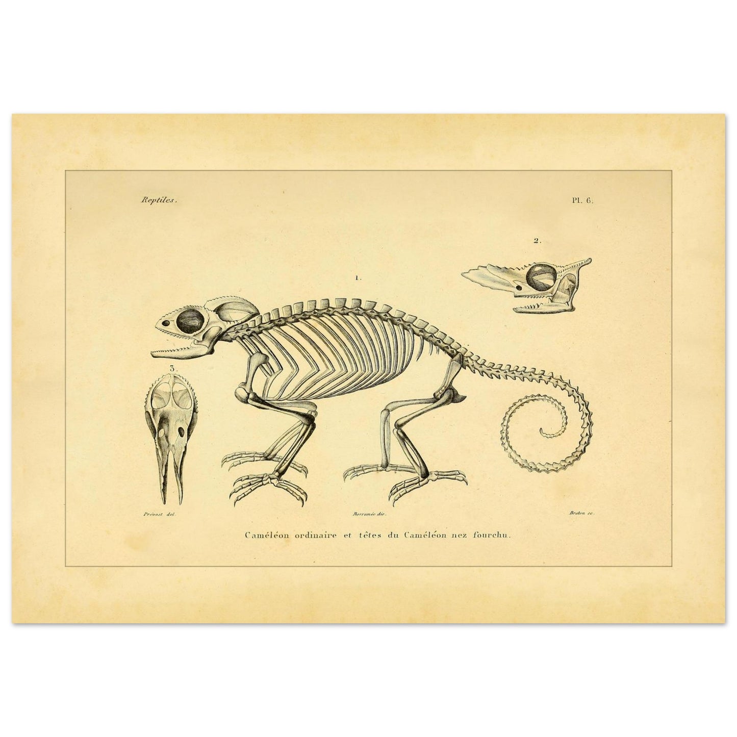 41981917-2db3-4709-82a2-a3a4b2470ddb