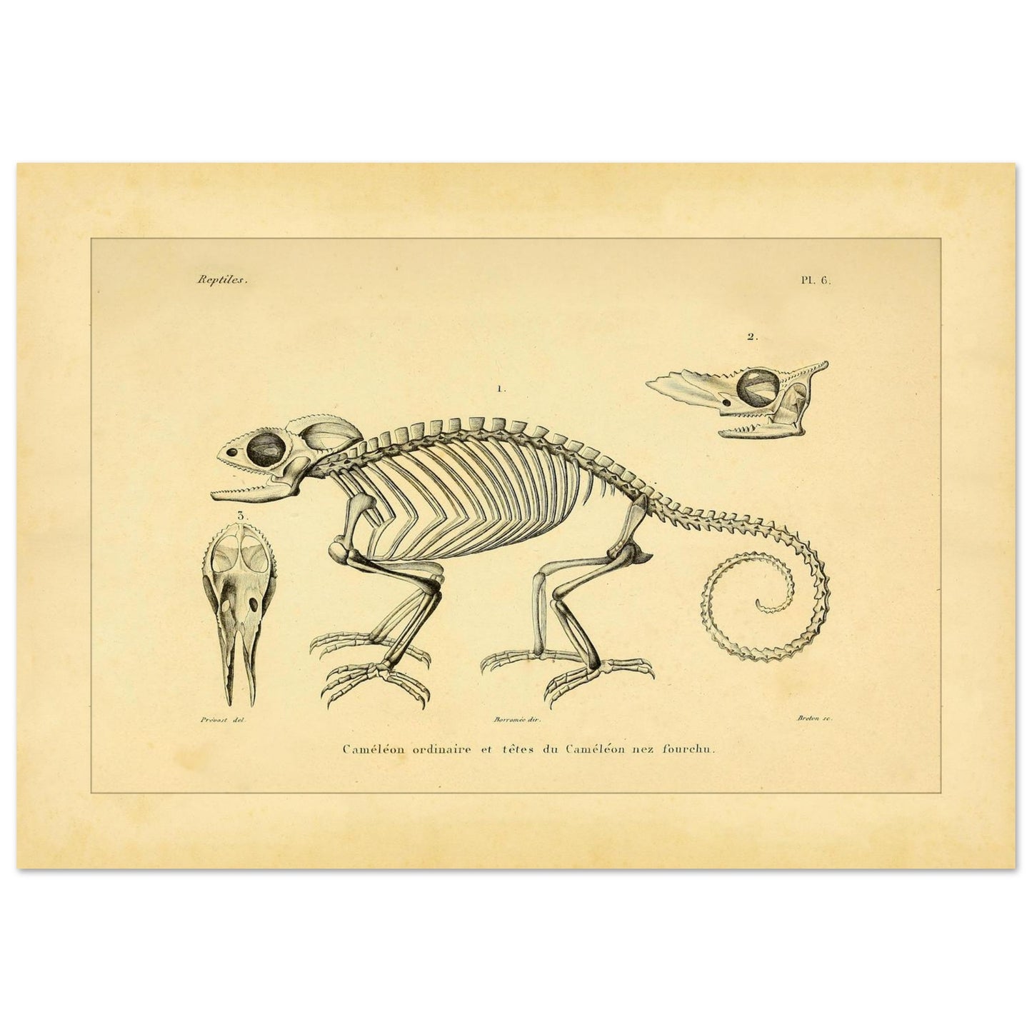 445ed8bf-9b41-4341-91b4-8c525eece2d6