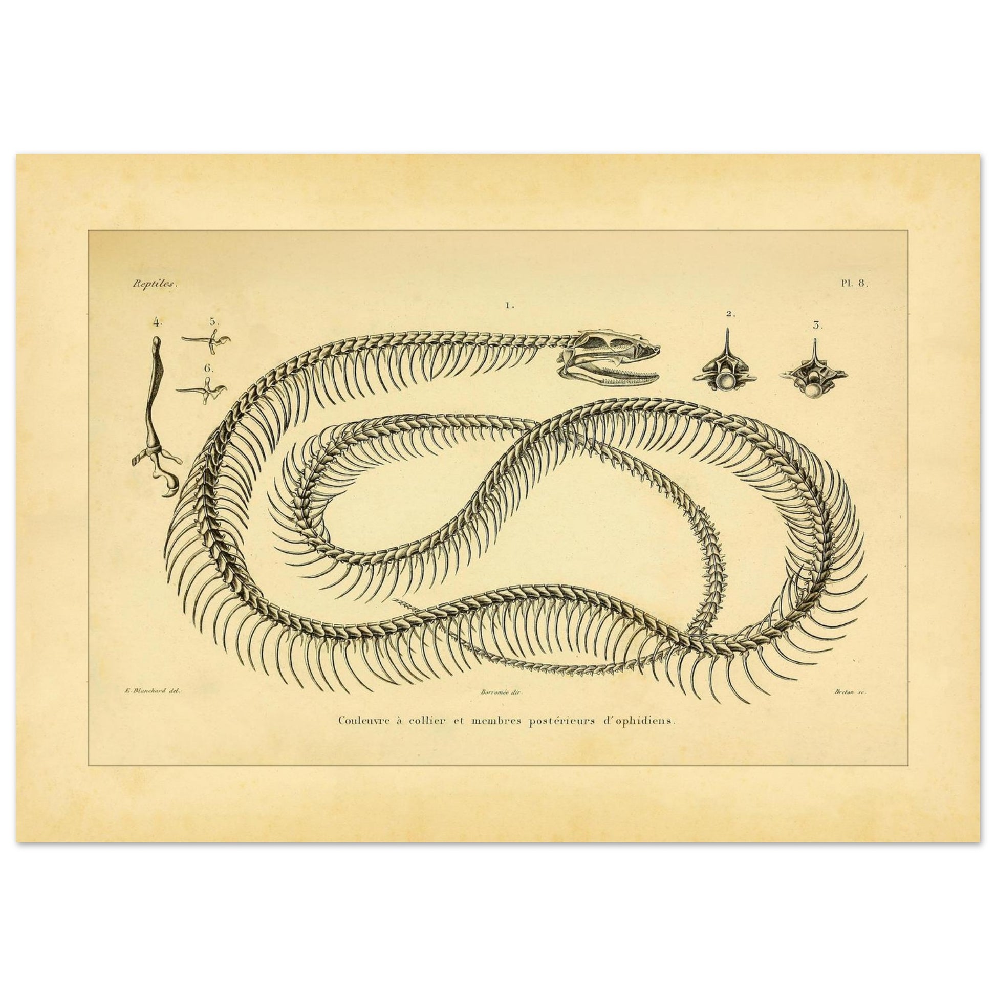 44f14cf0-49c1-43de-a902-9f69154b829d