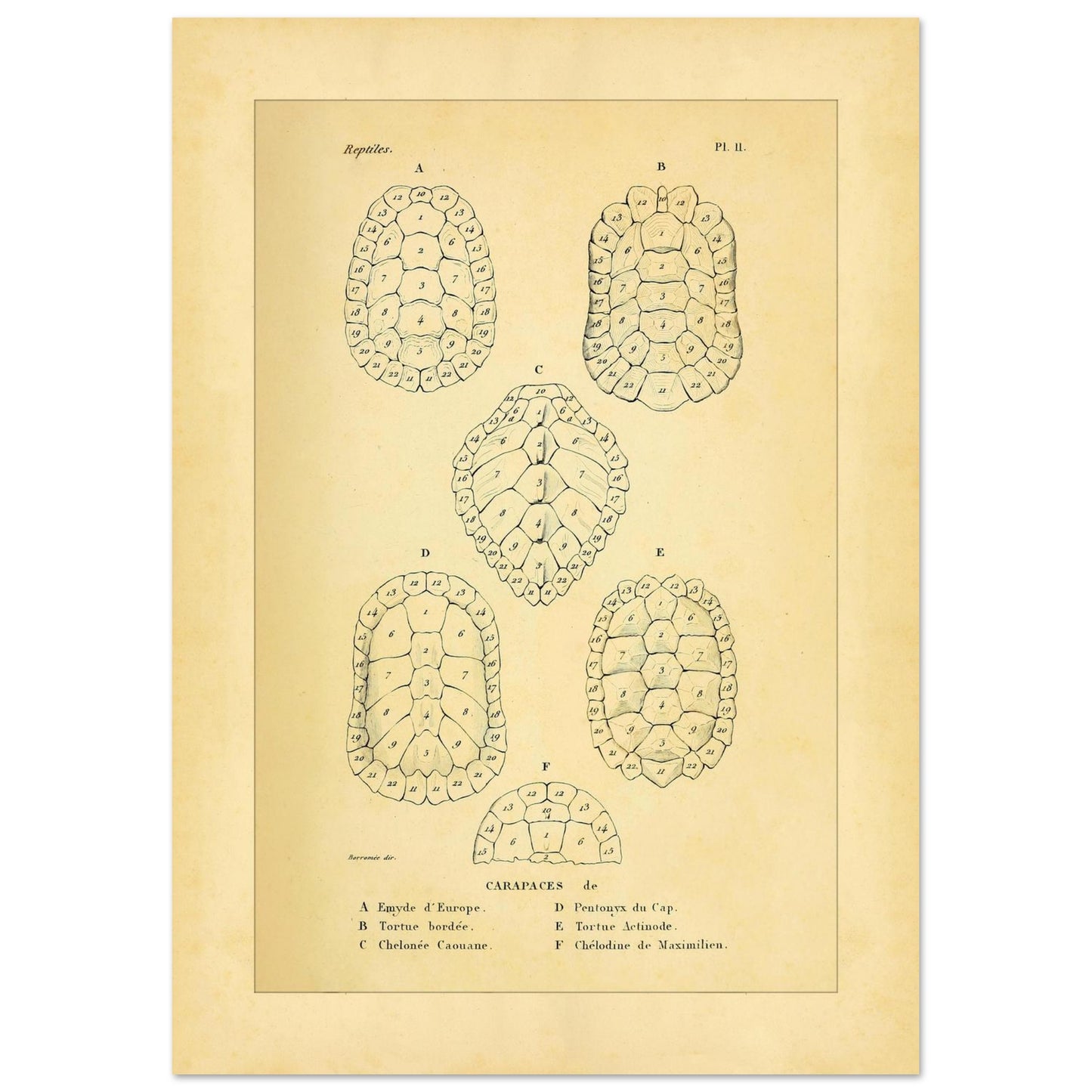 452e52fd-a8e8-476a-8611-5e80090c6217