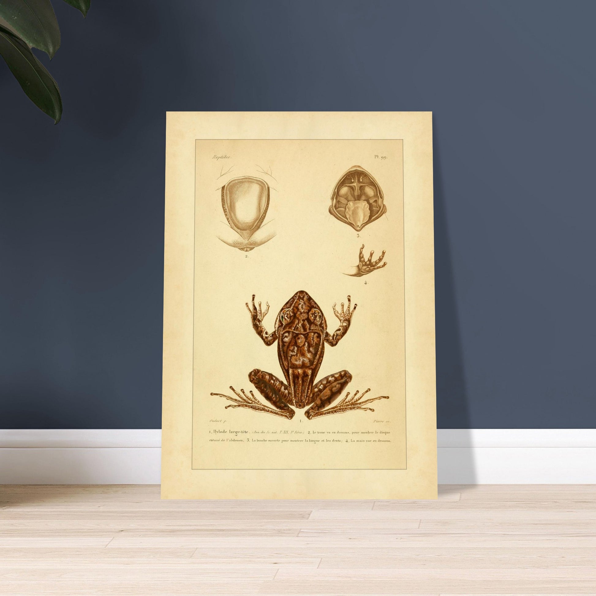 471e7be1-be6b-4c9c-8fdf-932ab81445b7