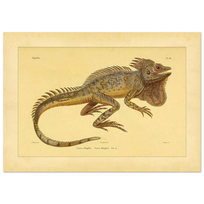 47fdfb43-6cb2-40f7-b1d3-578a3b968fc2