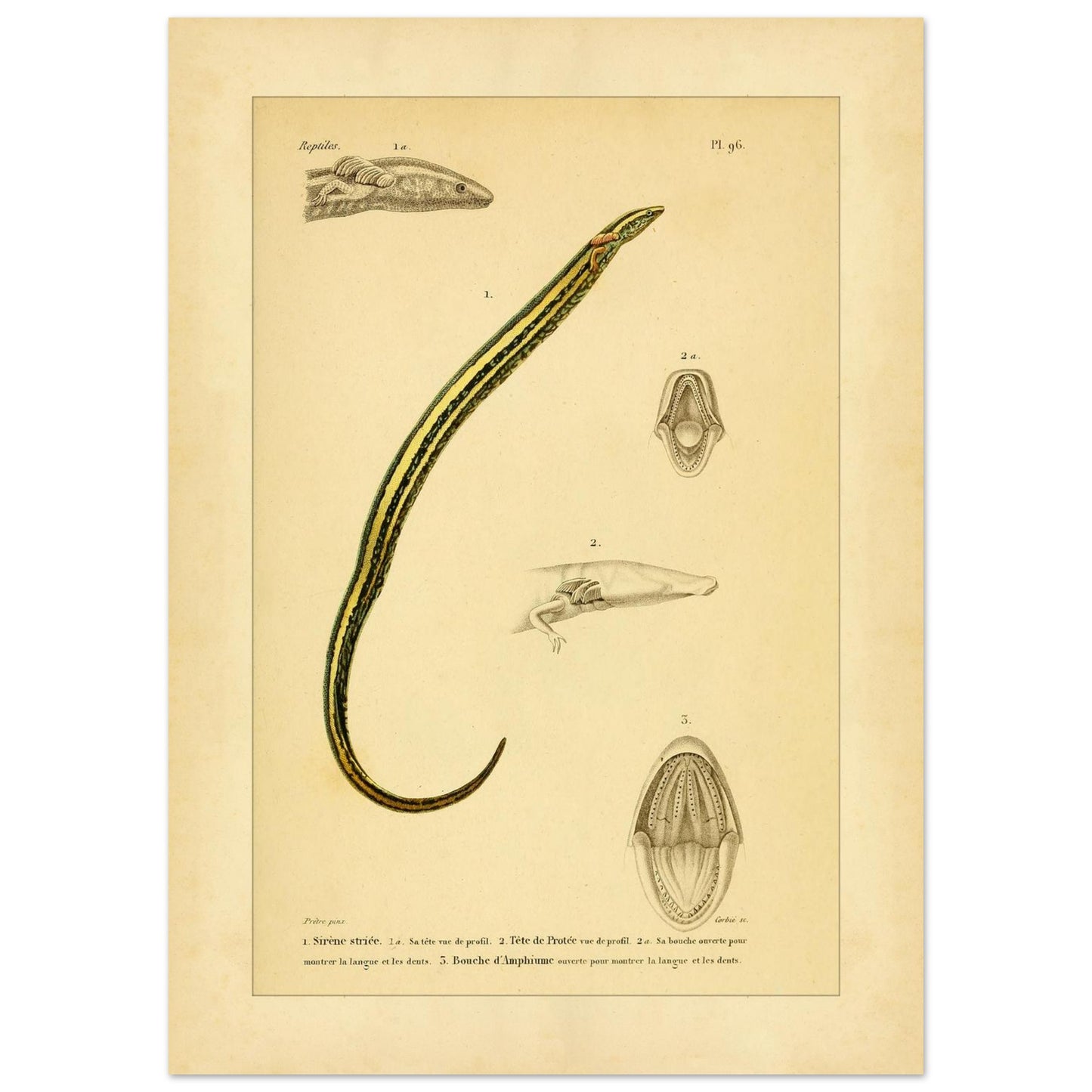 4985a8c6-a326-4e59-954f-84b35175fead