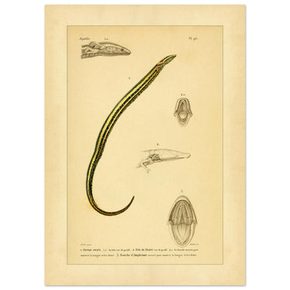 4985a8c6-a326-4e59-954f-84b35175fead