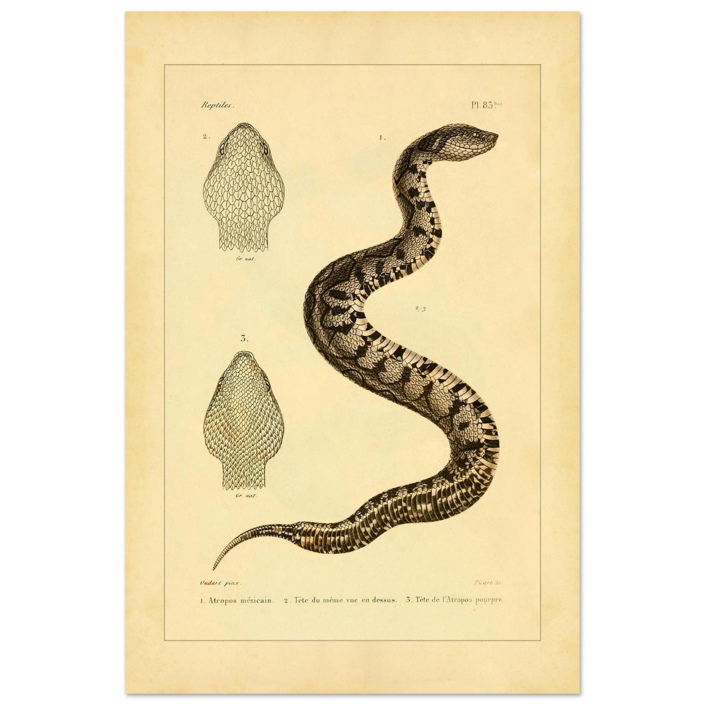 49c5278f-346f-4415-afb4-83f3d769a6d4