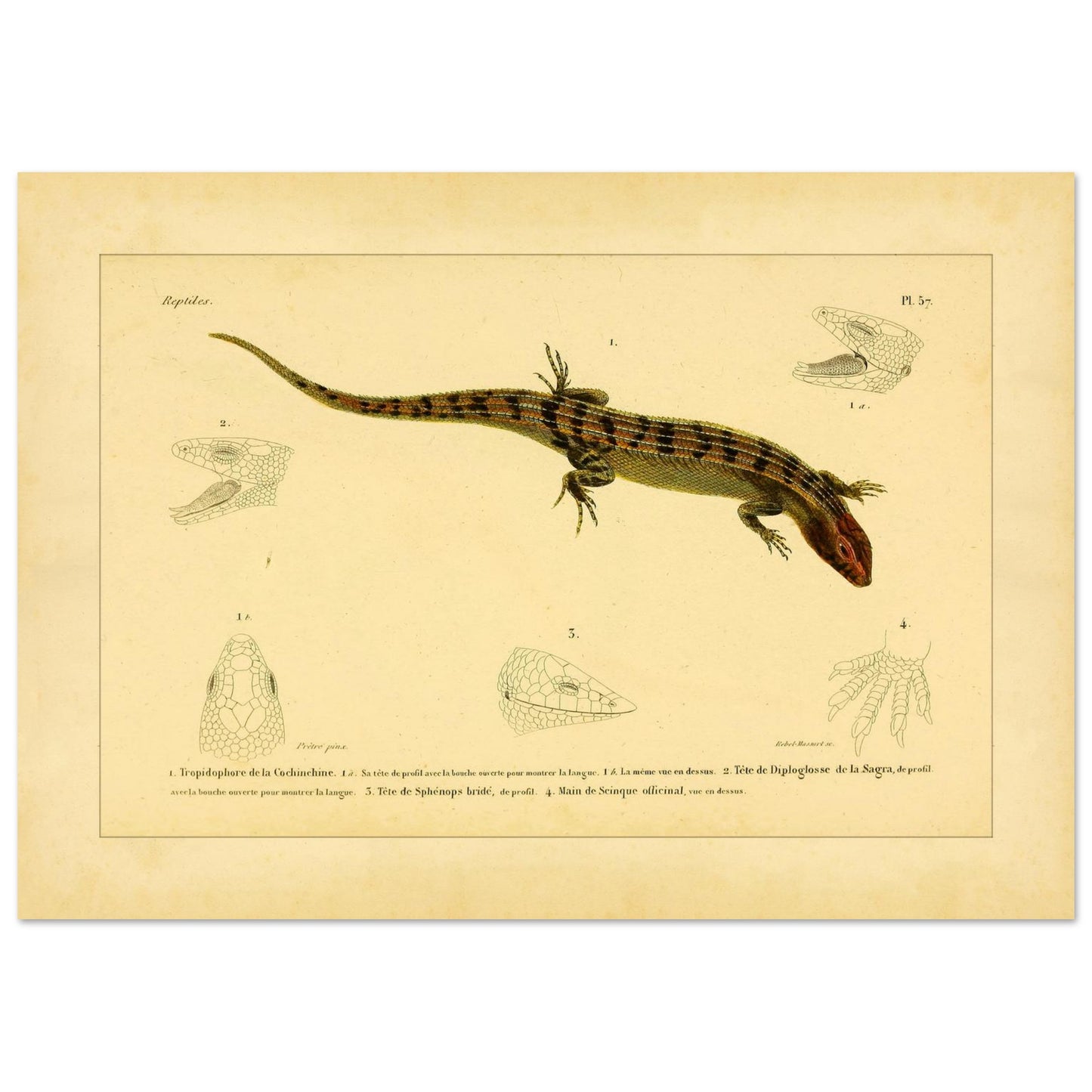 4b4eba5e-cb3b-4f98-9cb9-f28edb6f2171