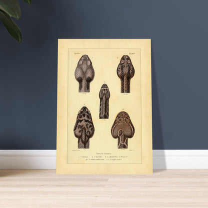 4b6983e5-bbe0-464d-b718-db6775735eb0