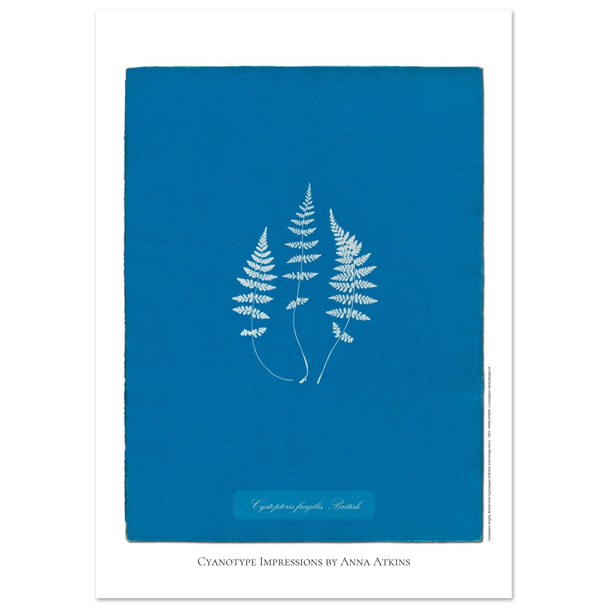 4bb36e8b-fce0-41d1-8c65-c27a94b76d7b