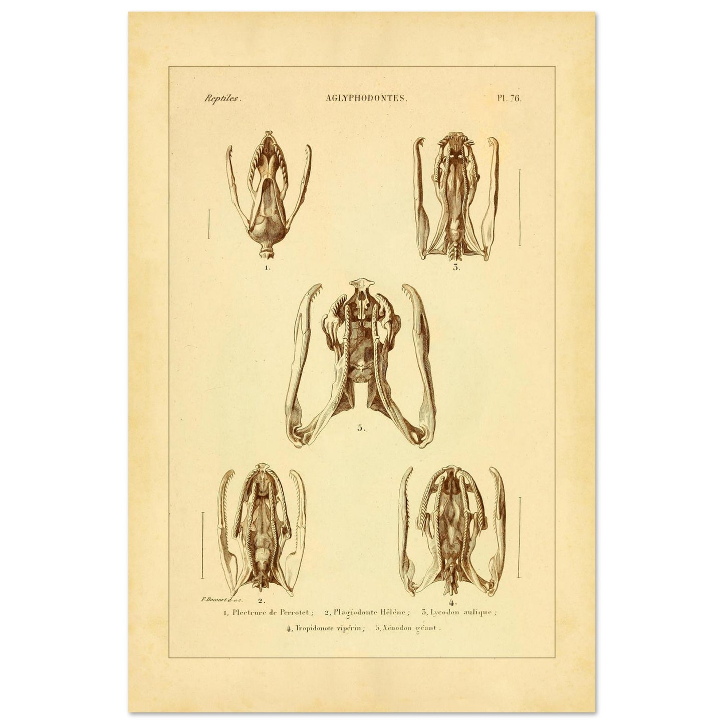 4c7c8a0e-18fa-4456-b8aa-5fb5edcb3573