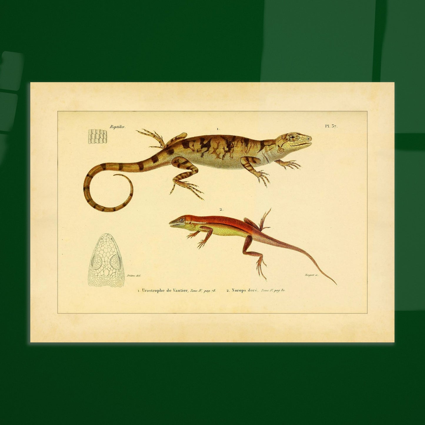 4ecd0c4d-fde8-408d-b2ea-070846b5a7ad