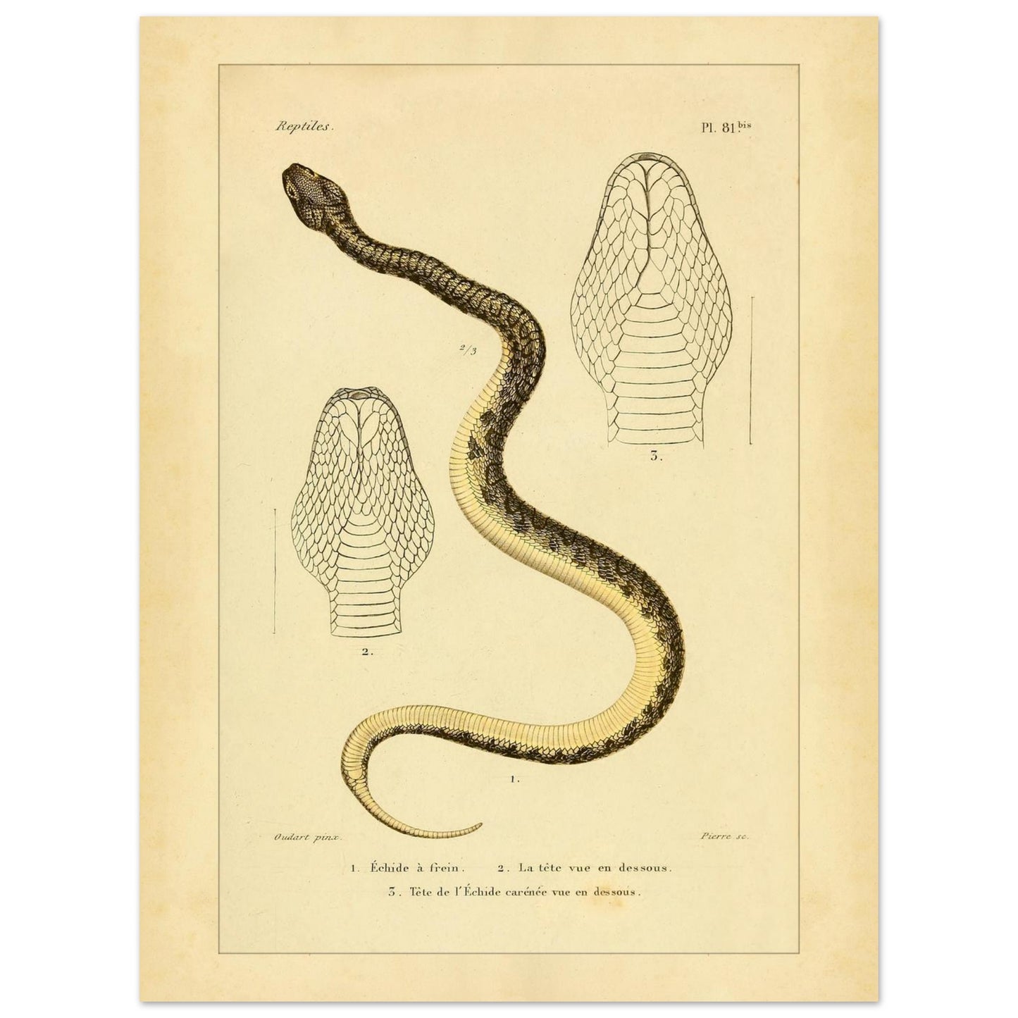 4f07c42c-f131-4717-9513-ff7cde8044ab