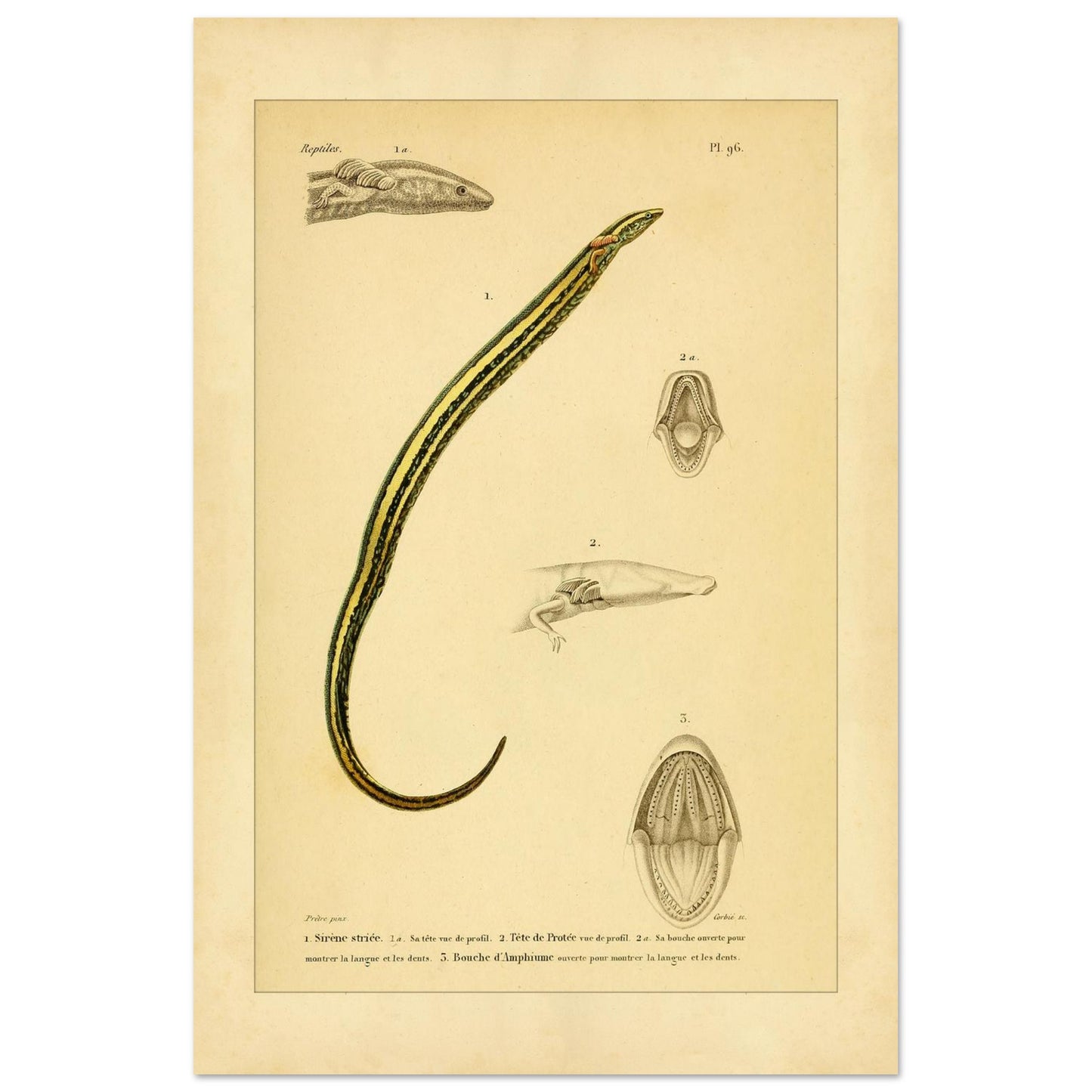 4f71674f-afb3-4630-b20d-214d99e71975