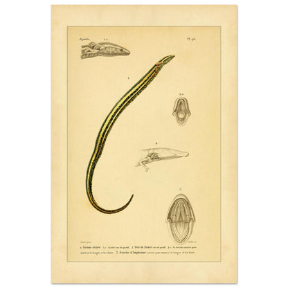 4f71674f-afb3-4630-b20d-214d99e71975