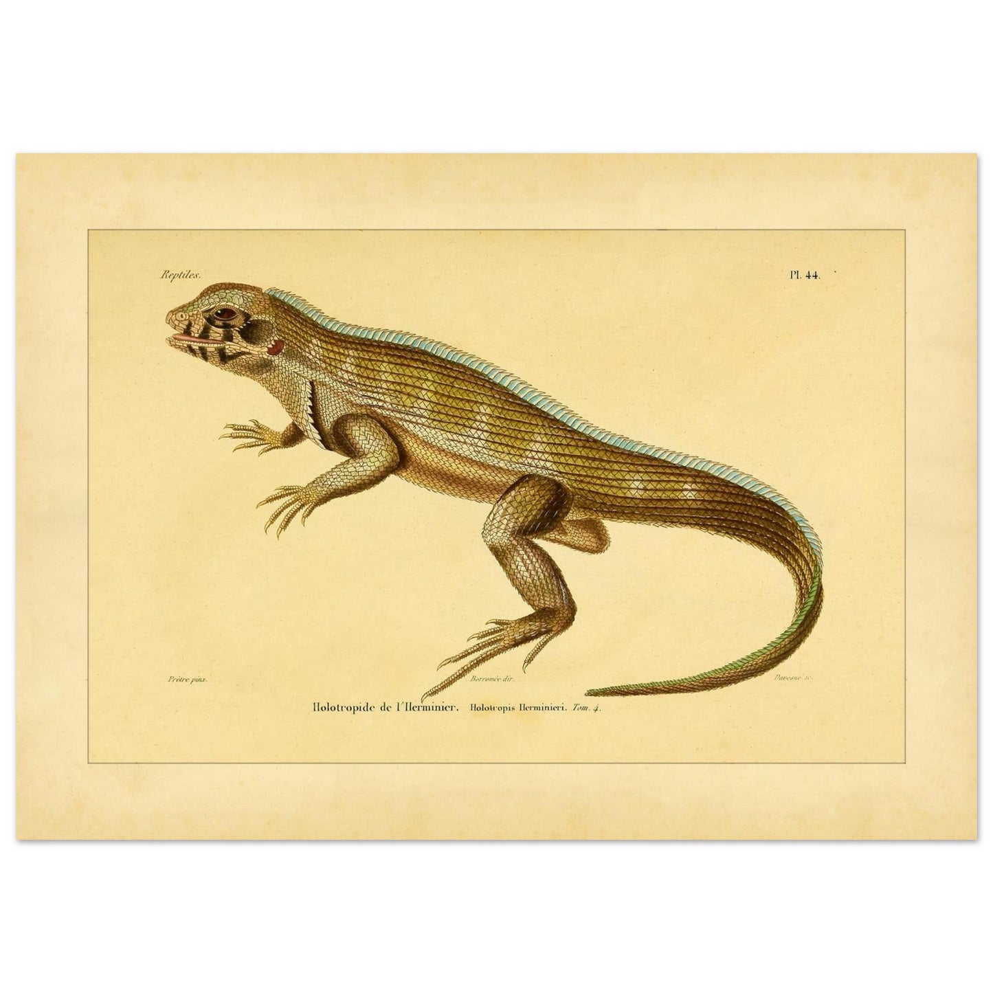 5065f02a-25d5-452e-9cf9-98da3327abb9