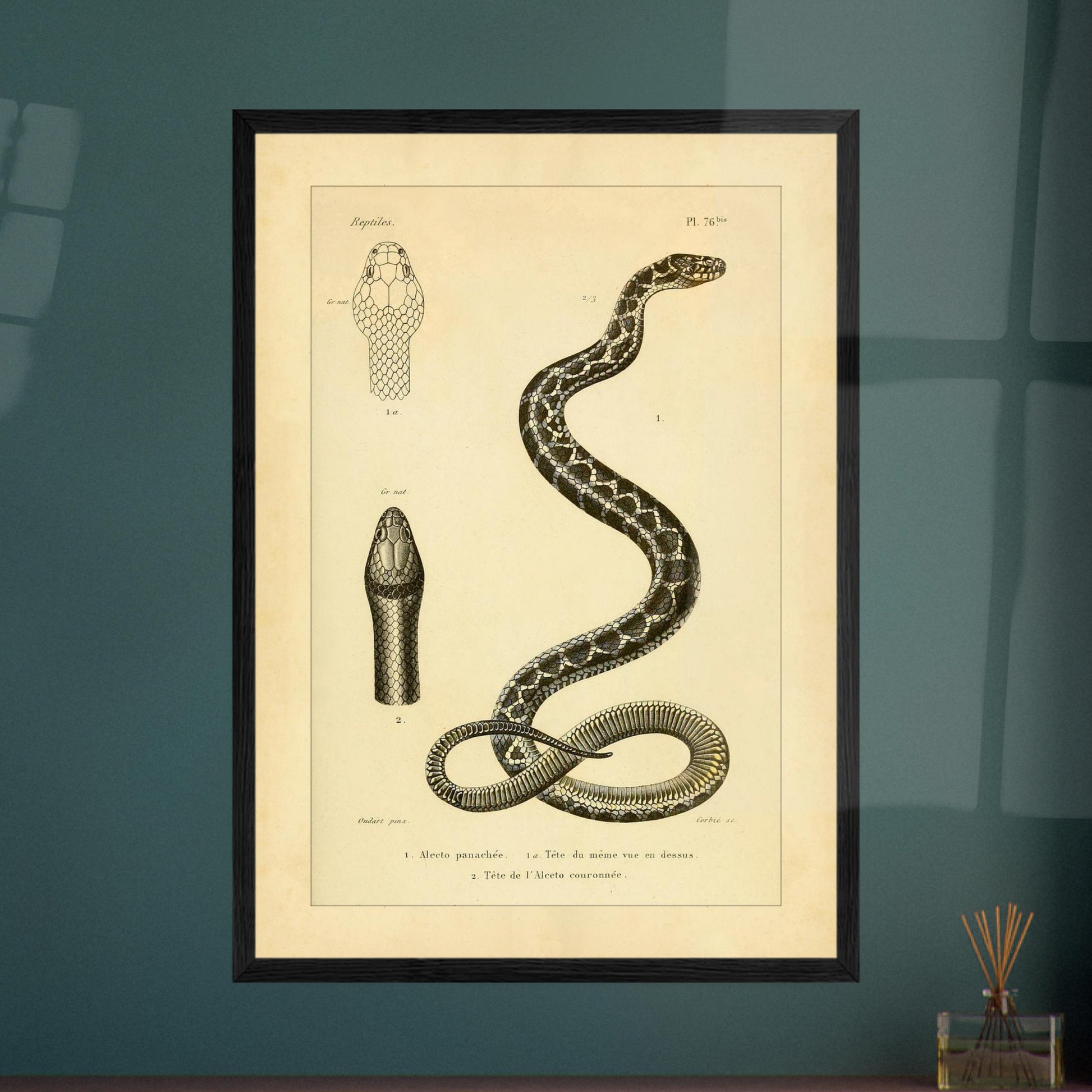 5219570d-d07b-4bb5-a03f-64db767a5fb3