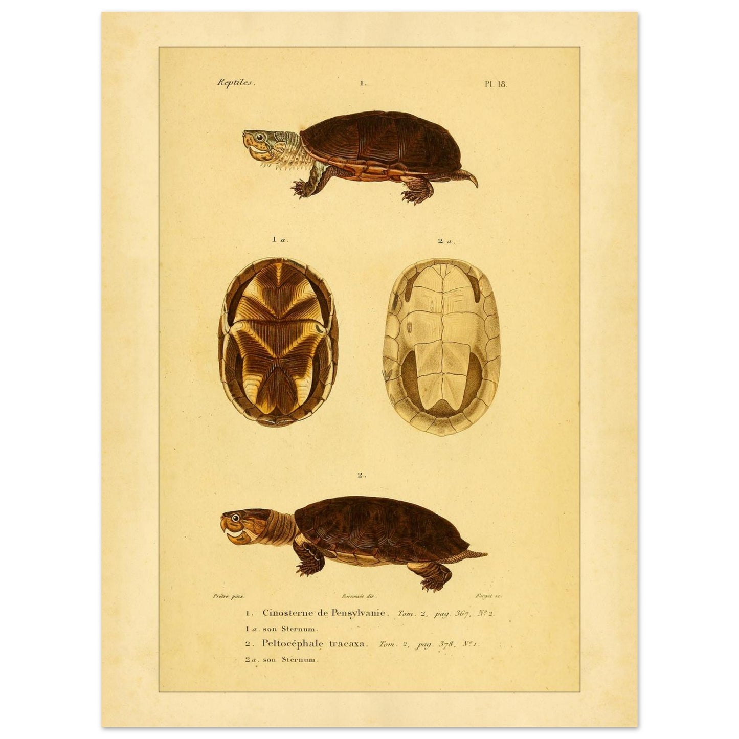 52cea8e1-6db9-4a59-94c4-94cb8c4d68b5