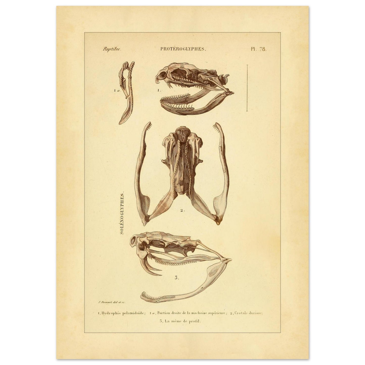 54e6ee67-b49e-49f6-b980-af256cdf445f