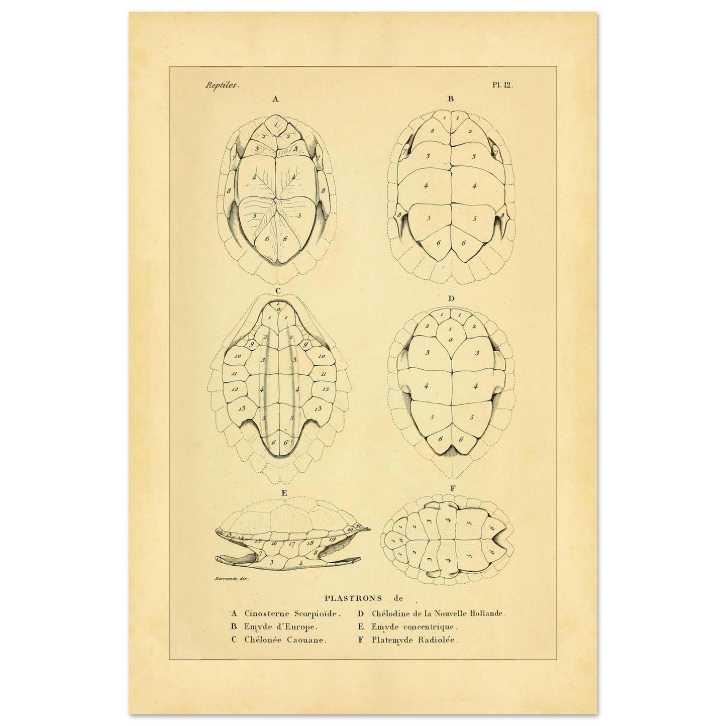 56157892-52d6-44c1-9d31-a5056941eb1b