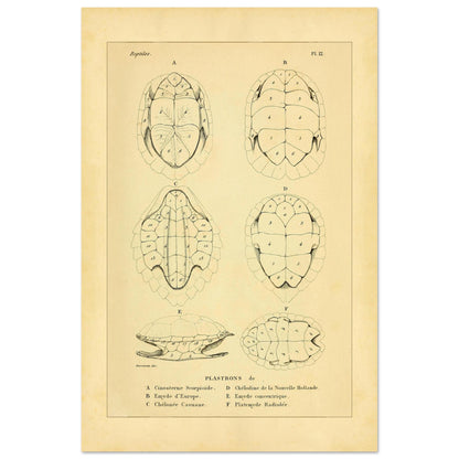 56157892-52d6-44c1-9d31-a5056941eb1b