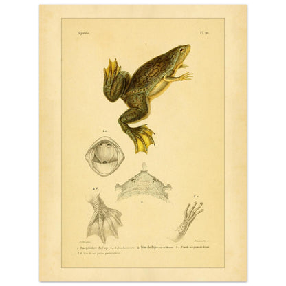 567d0286-4f38-4a96-b9c4-43936965b0a1