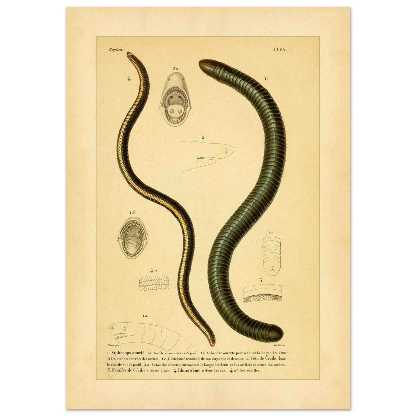 56d34ca2-65d7-4d6c-95f5-039c313d4610