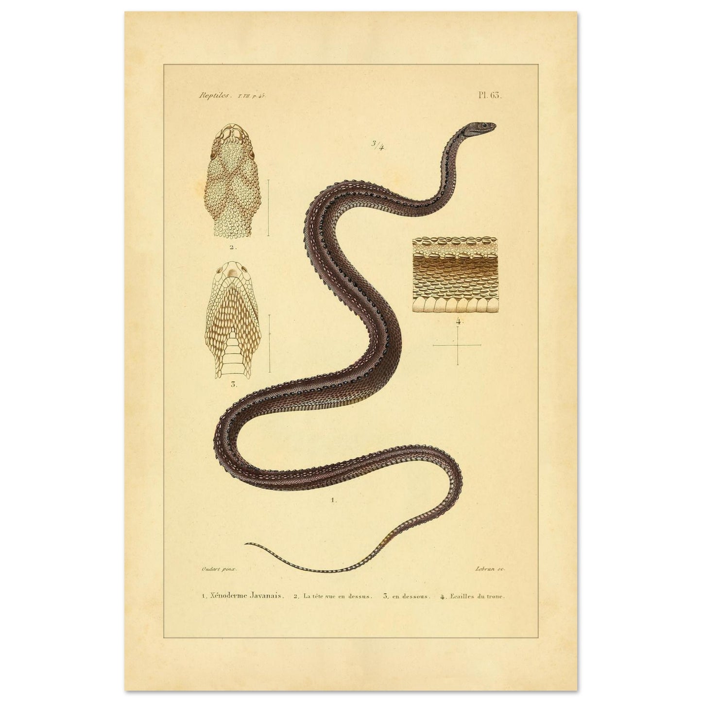 575fd85a-29ac-4c94-839b-d9bd03586800