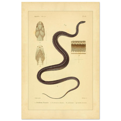 575fd85a-29ac-4c94-839b-d9bd03586800