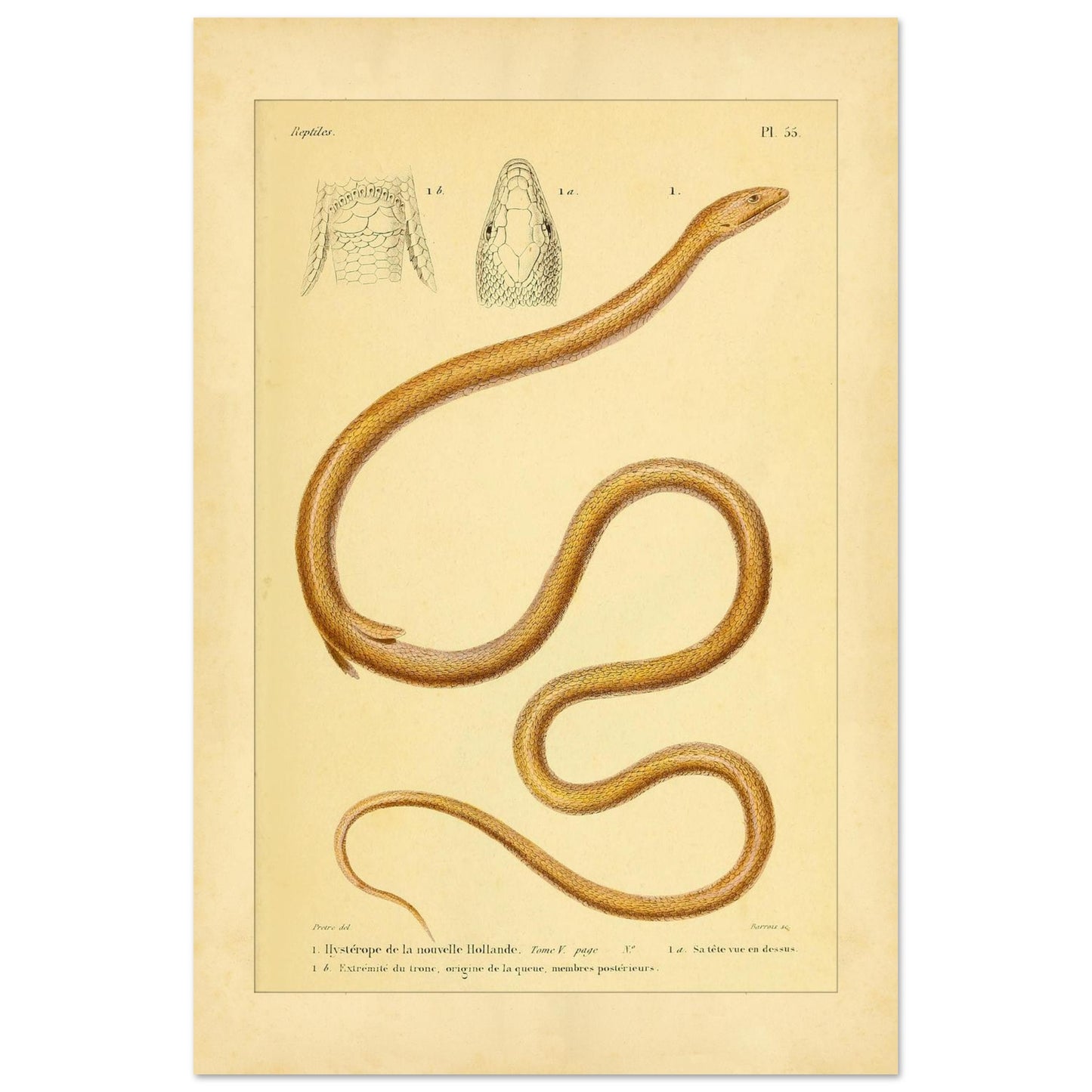 5765fb1a-8c9d-4899-bd09-61e27731904f