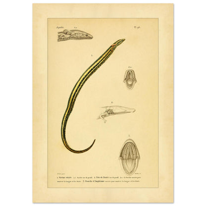 57d10dba-c871-462c-ad5c-aa8e174a6ec7