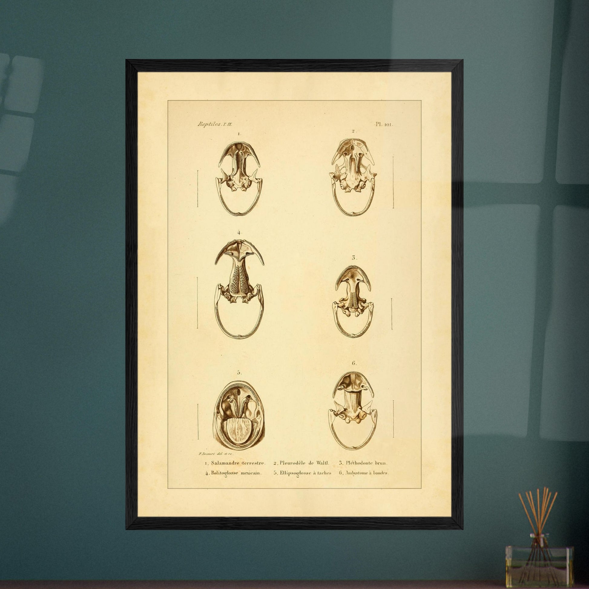 58d68fe8-72c9-4cb7-8a8c-17f0cc821f6c