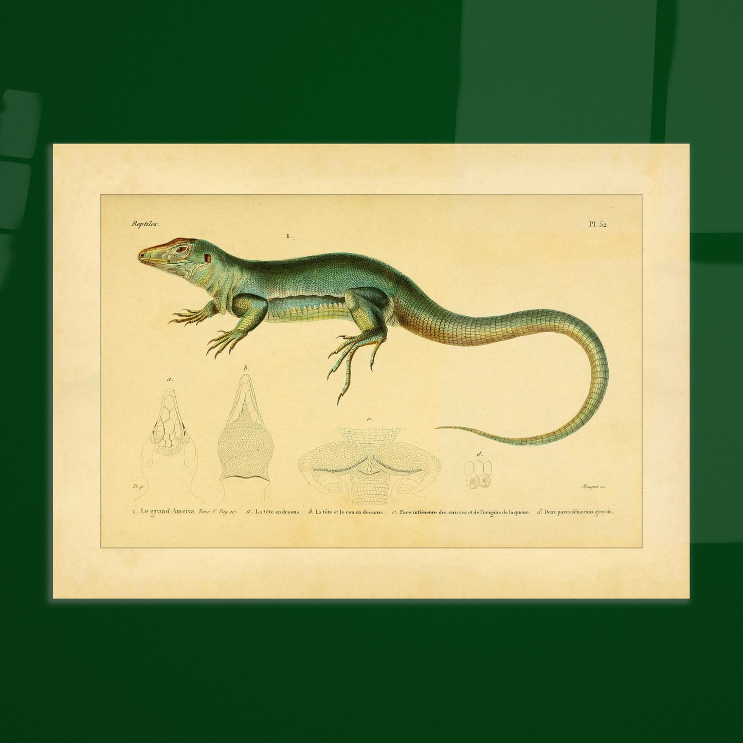 5a6ae86d-dd3a-407c-99db-f80ee227837f