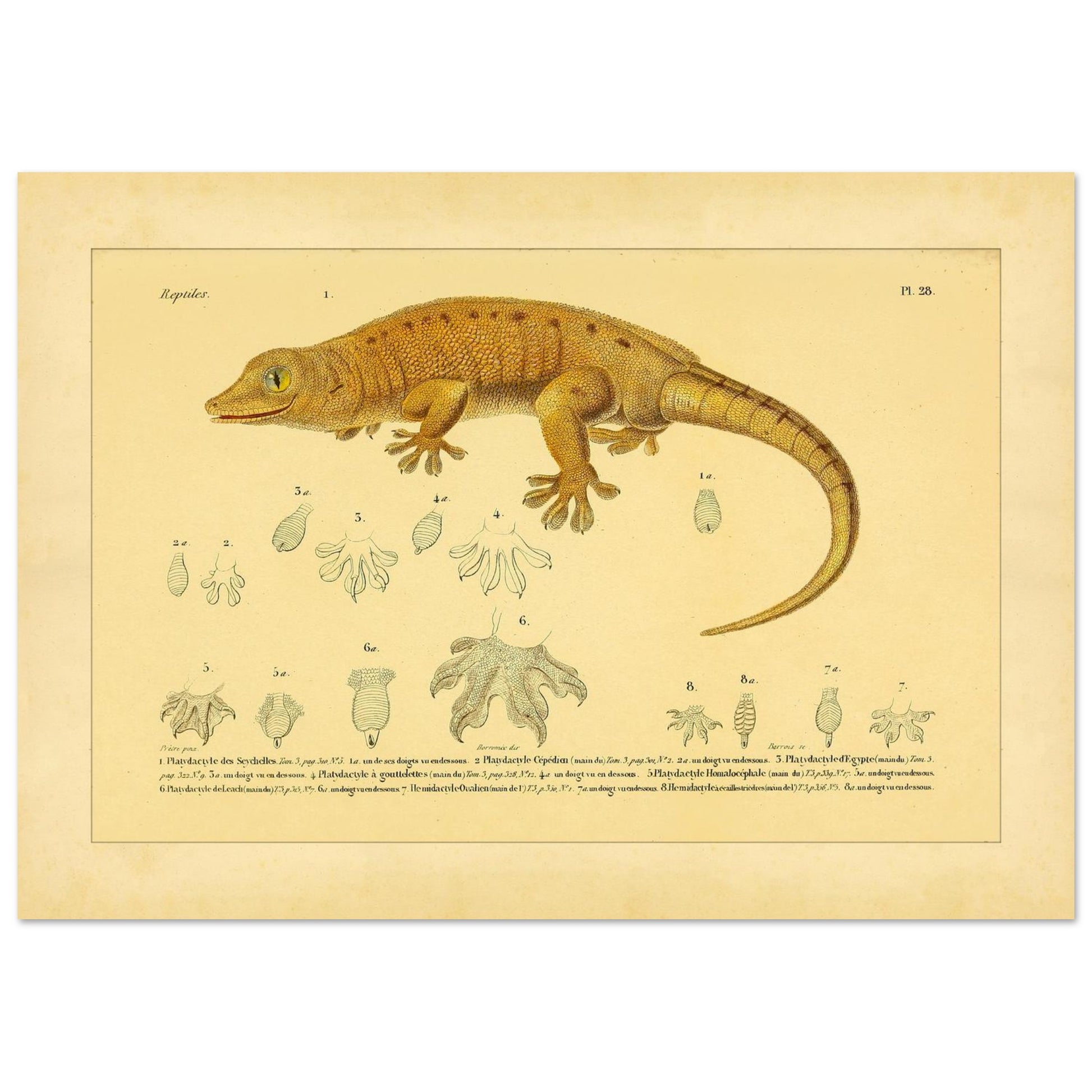 5a98ce2a-3a75-4475-8238-42048c7b2be4