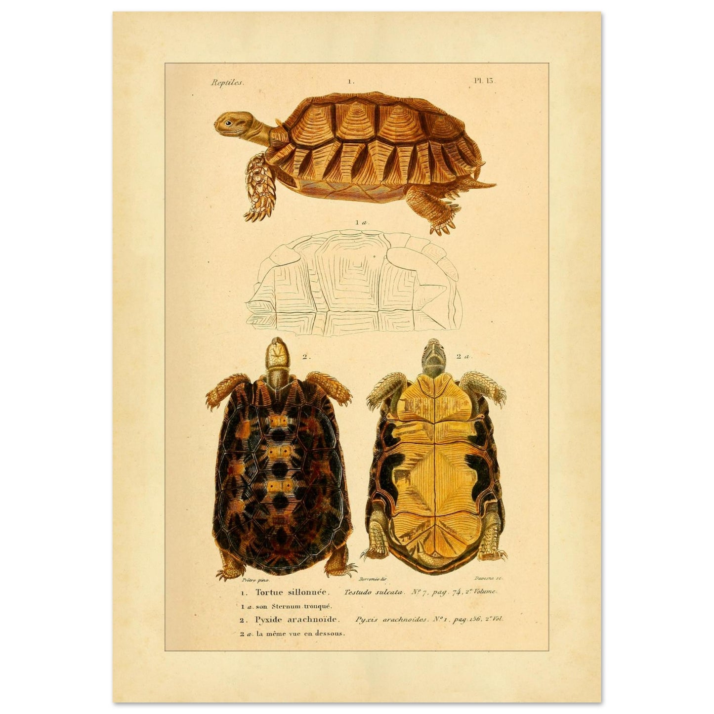 5a9b32a9-01d5-4394-9fb8-a0fea3f6b50f