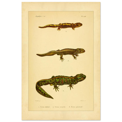 5aca024b-ca5b-4a02-83c0-b4a693b6266a