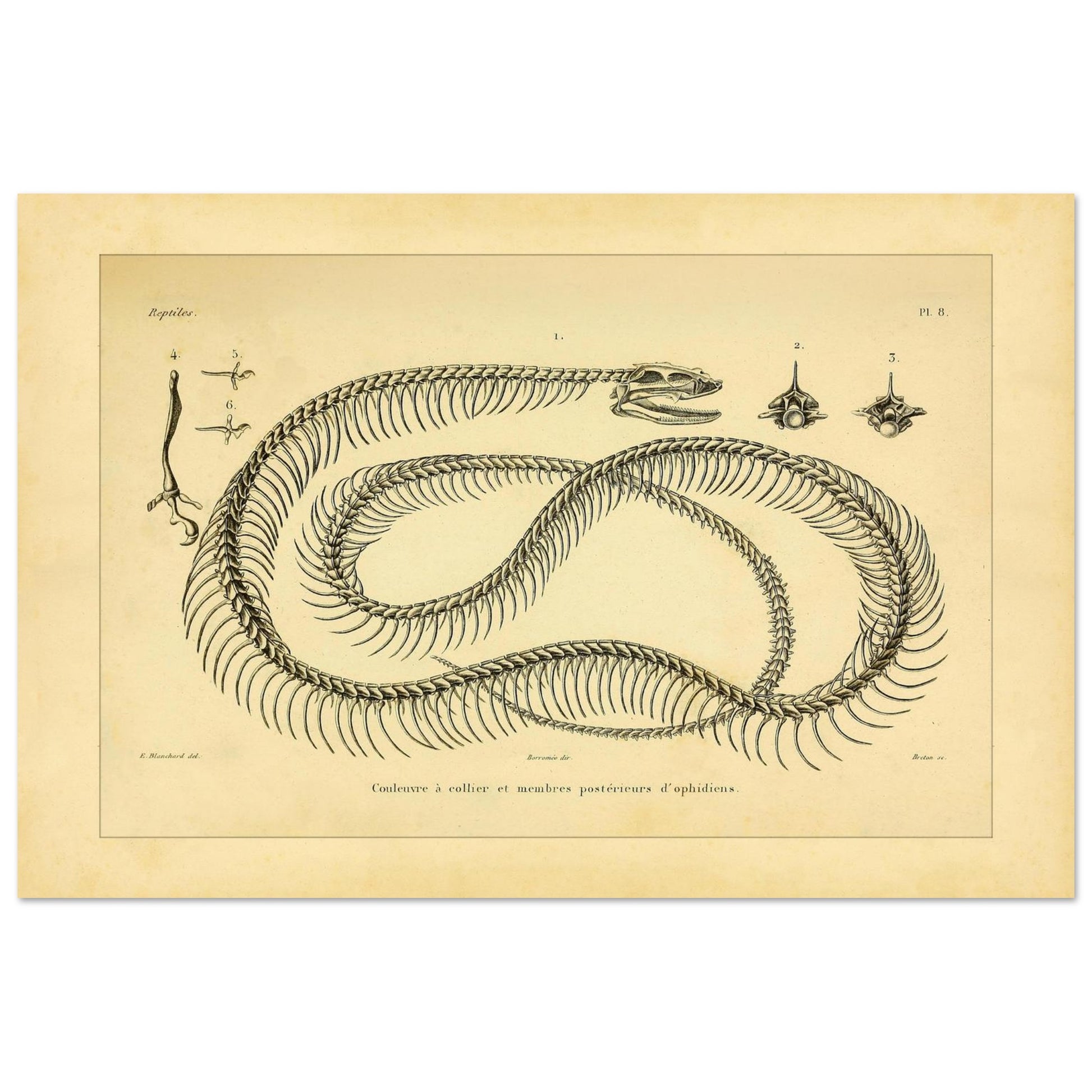 5aee8cf9-d088-44fc-ba80-5531c4e52a27