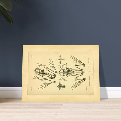 5c0dfe2a-3a2d-4d9d-9235-22d98bef2e6a