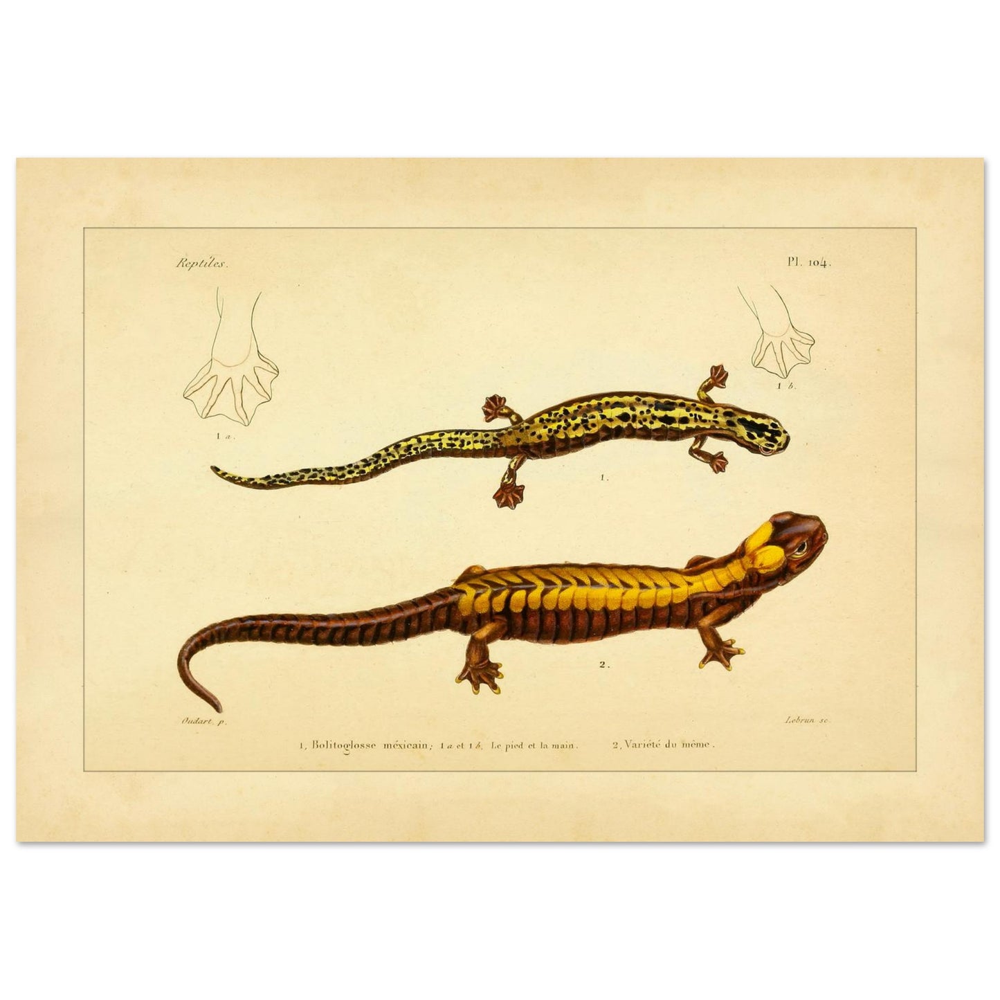 5e663d85-ed7a-43df-8e3b-ca65fd7badc7