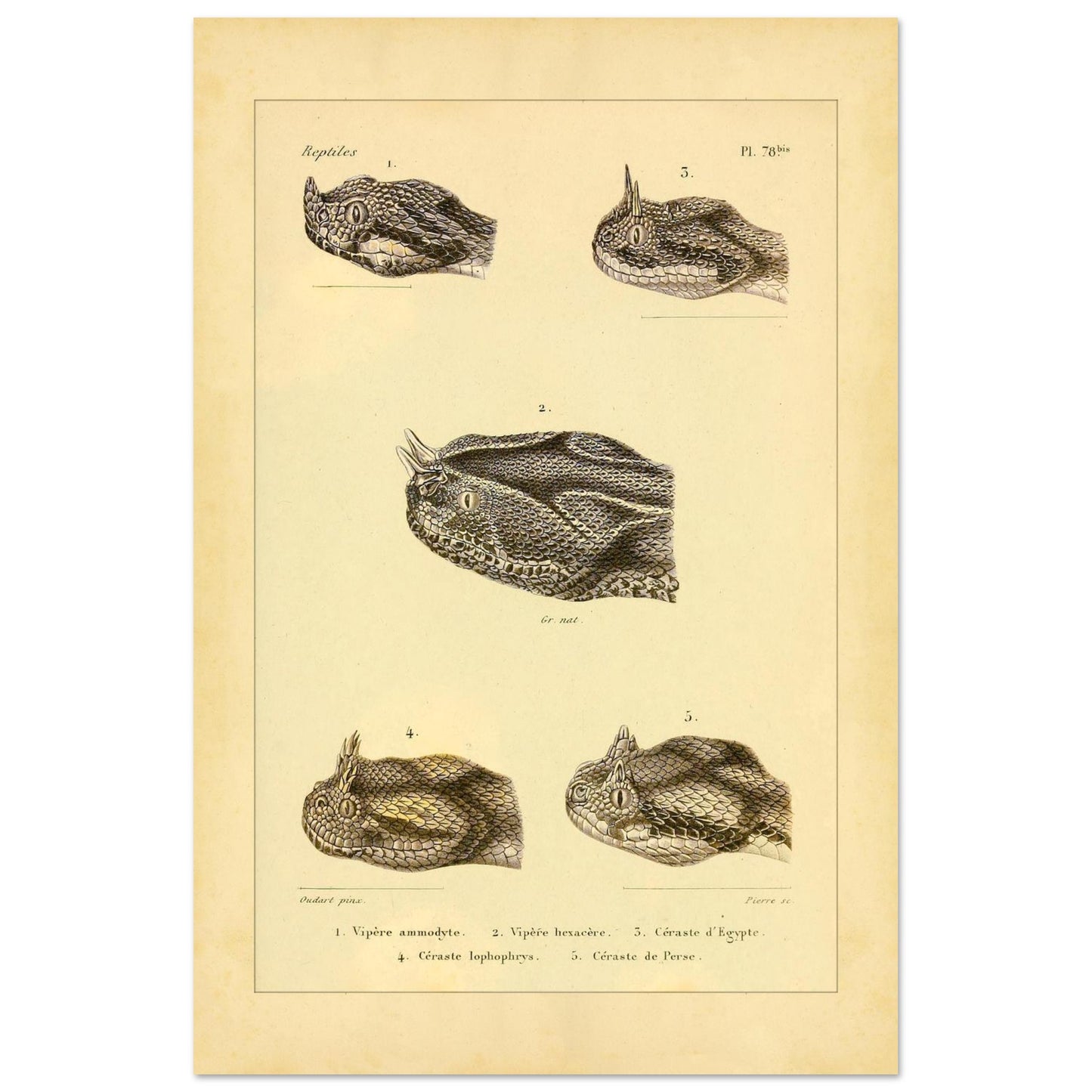 5e889513-de64-41c3-9ea7-b3bdcc0cfdfd