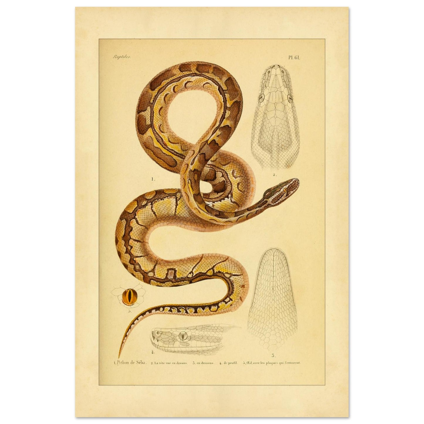 5eac1eaf-4a8a-4415-aa86-f103276cdb62