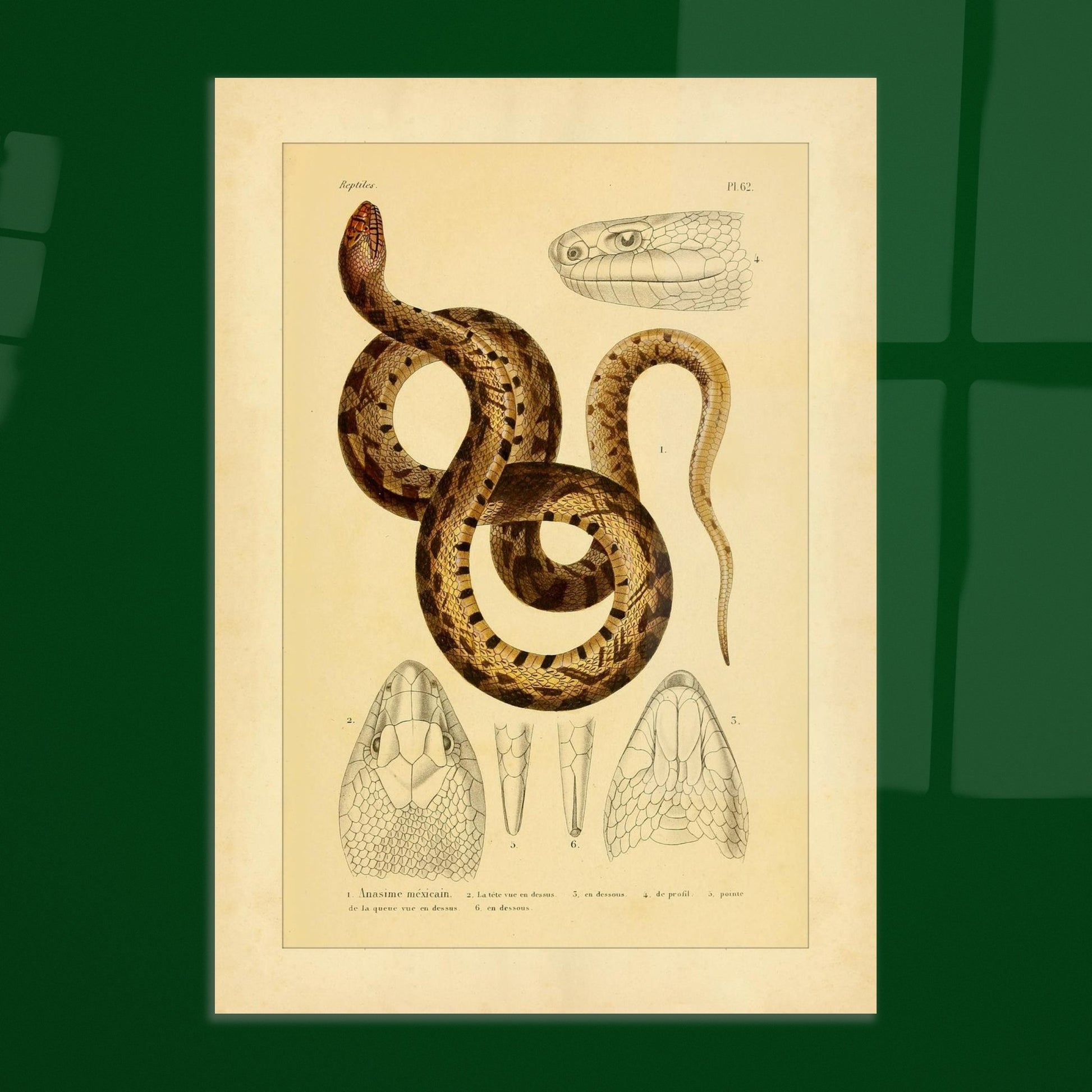 5edf0bb7-ad65-4184-a3b6-413fda083363