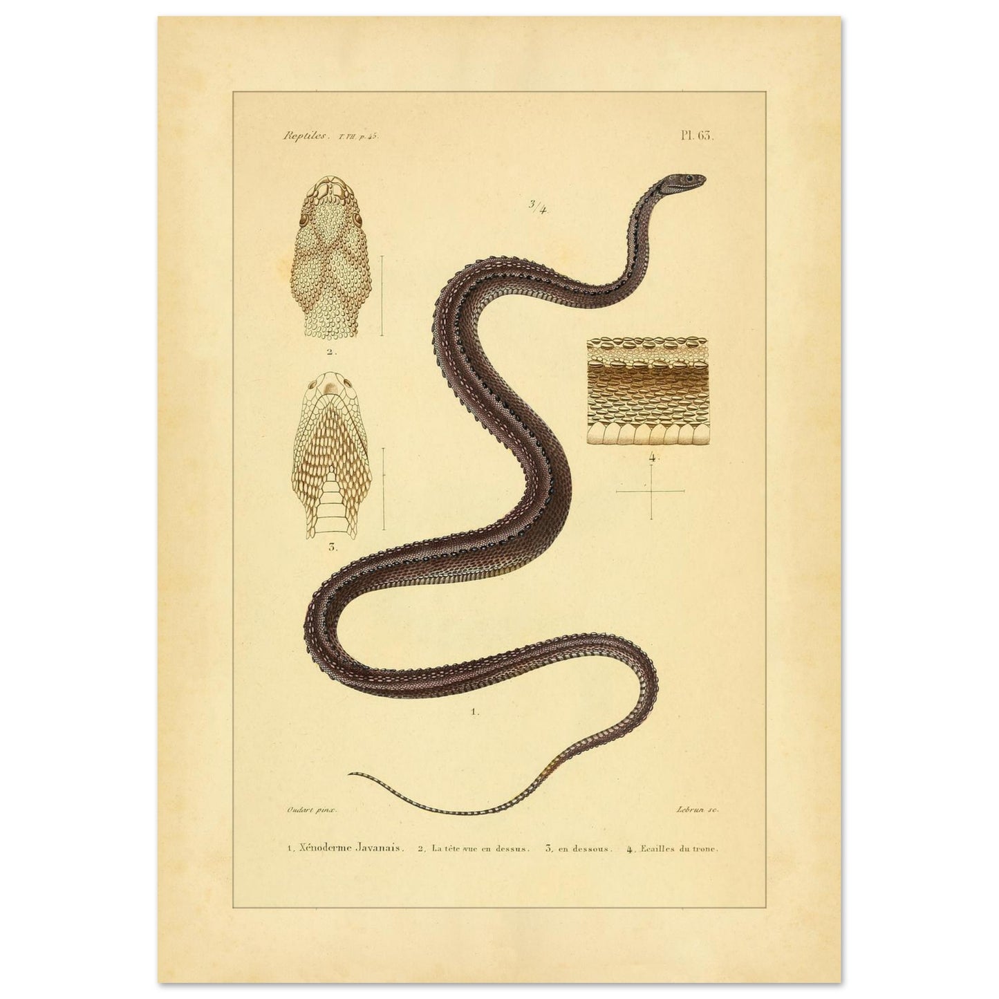 5f59deda-87e1-4d91-ad78-a781e778939b