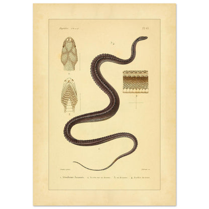 5f59deda-87e1-4d91-ad78-a781e778939b