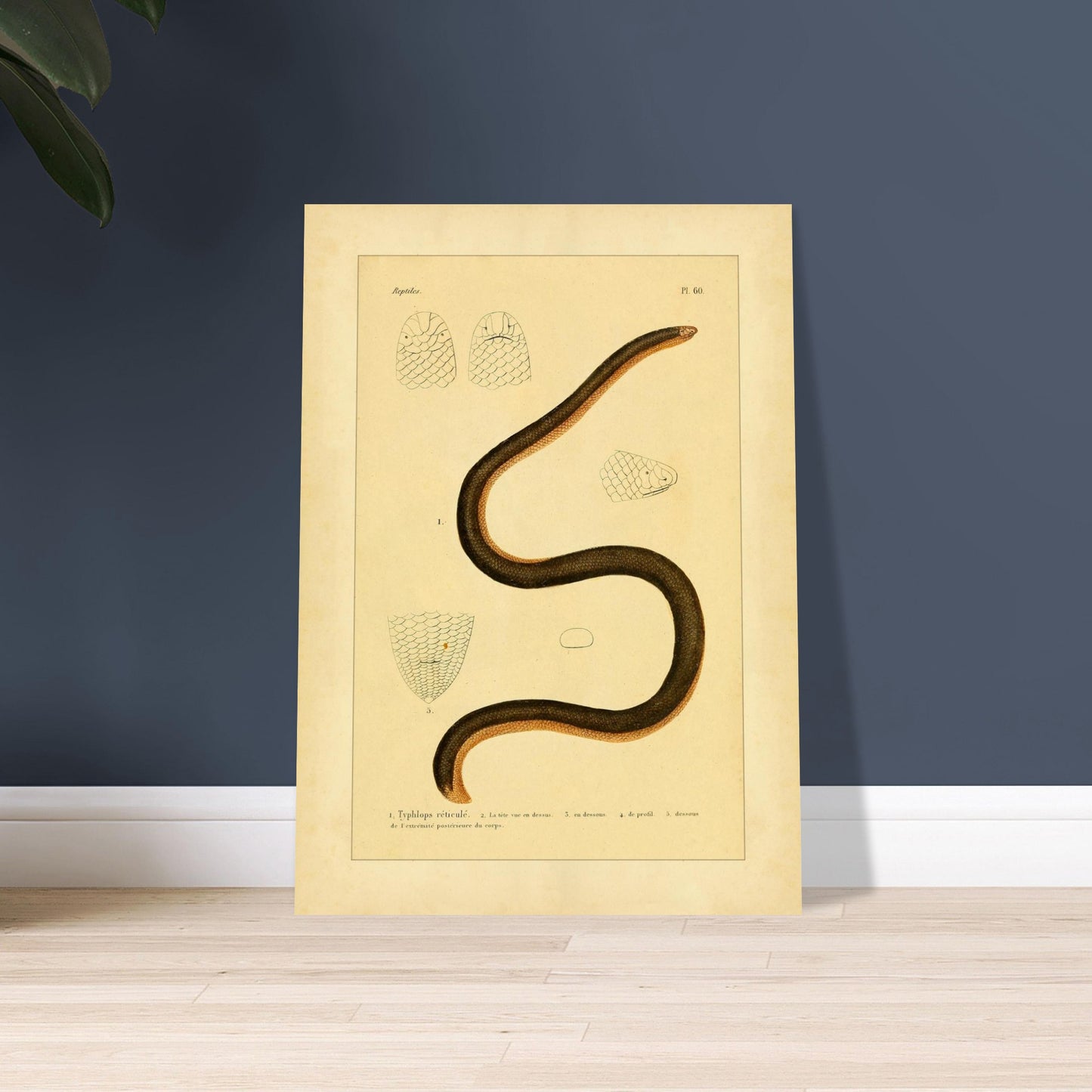 5fca2aa5-0f99-4c3a-baf8-79faa256dfc8