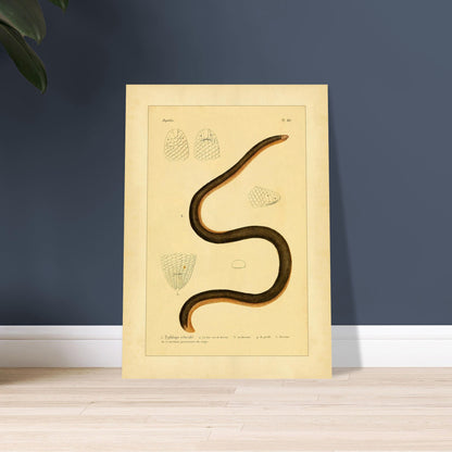 5fca2aa5-0f99-4c3a-baf8-79faa256dfc8