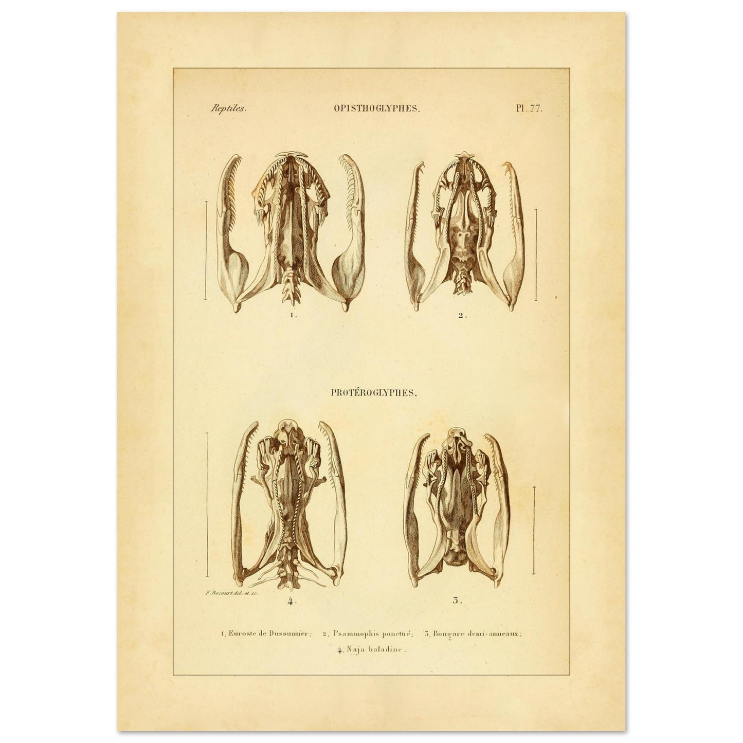 60172487-a5bf-41c0-94ab-ce706b8df7c5